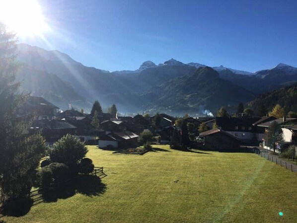 View