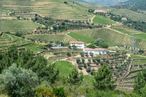 The surrounding Valley 