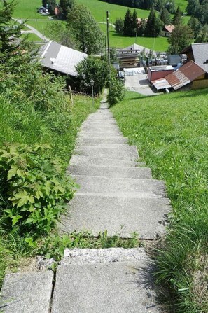 Pflanze, Baum, Haus, Vegetation, Strassenbelag, Grundstueck, Biome, Steigung, Gebäude, Ground