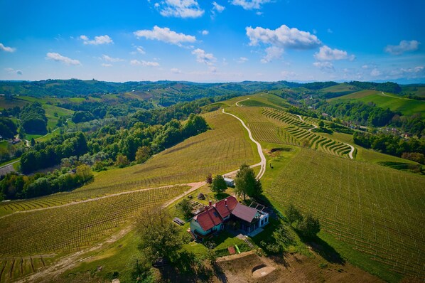 Holiday house Podhamer resort. Bird's-eye view.