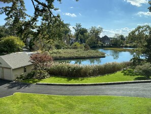 Backyard View -  Grounds