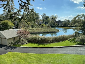 Backyard View - Grounds