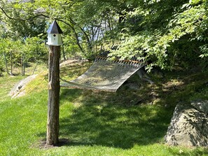 Backyard -  Hammock
