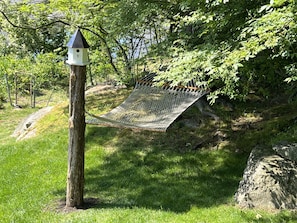 Backyard - Hammock