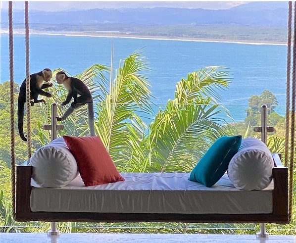 Balcony hanging couch with Amazing Ocean View
