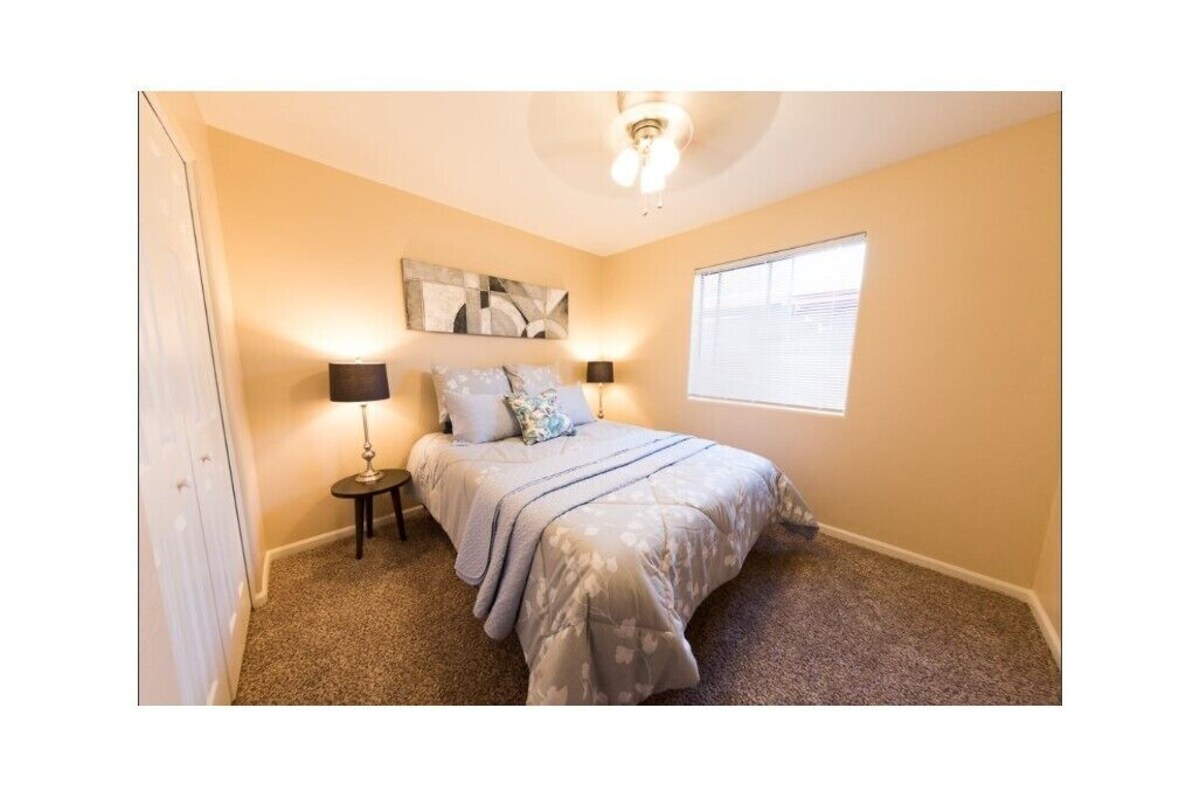 Stylish GEM in the Desert, Entire House near downtown and UofA, 3BR/2BA.
