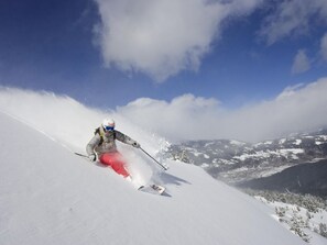 Wintersport/Ski