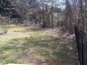 1/2 acre fenced in area for your four-legged pooches to stretch their legs.