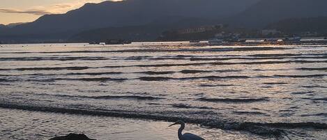 Spiaggia