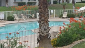 Pool is right in your backyard!