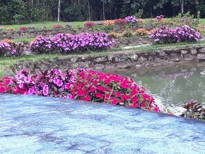 Jardines del alojamiento