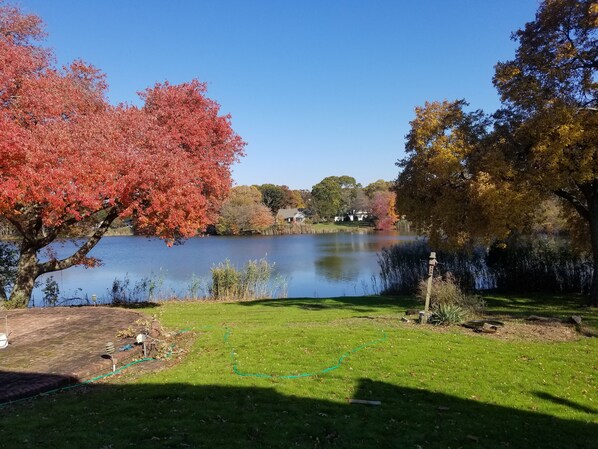 Scenic Merritts Pond looking out the back patio doors