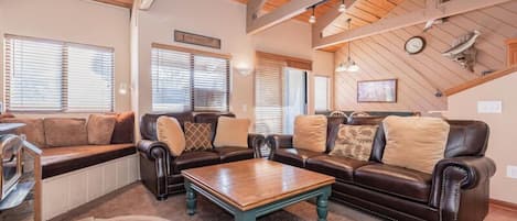 Living Room, Wood Burning Stove, Flat Screen TV