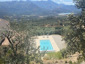 La piscine vue du haut du jardin