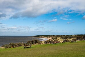 Little Archer - the golden sands of Gullane Bents