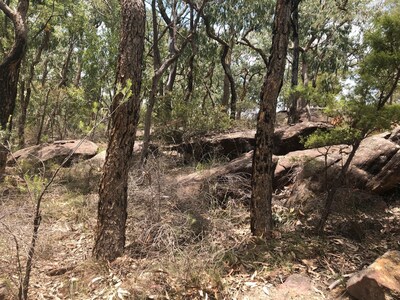 “The Shouse”  private beach and ramp on the Hawkesbury River, 1hr from Sydney