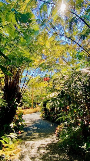 Private Driveway just steps from the front door.