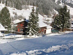 Neige, Montagne, La Nature, Pente, Arbre, Maison, Gelé, Mélèze, Suppression Des Plantes Ligneuses, Bâtiment