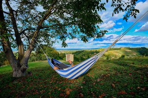 Hammock next to the house.