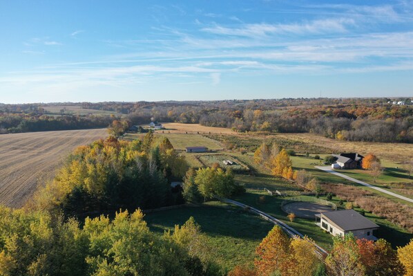 Our cottage is nestled just off a quiet gravel road, among ample trees and sun.