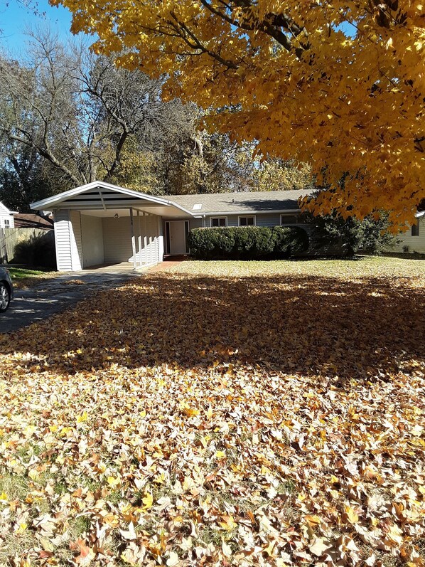 Front of the house with carport and our cheery yellow maple tree.