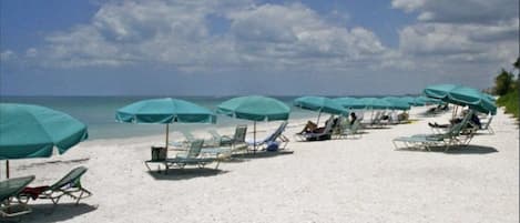 Private beach on the gulf where you can see dolphins, pelicans and more.