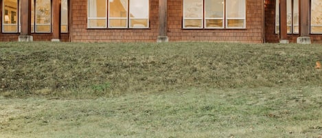 Grass,Lawn,Door,House,Window