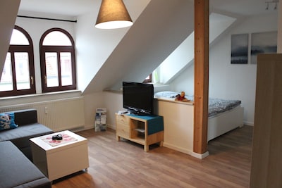 Cozy one-room apartment near the old town