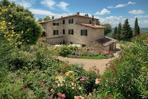 Trädgård