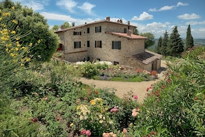 Trädgård