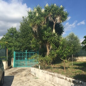 Property grounds