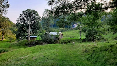 Entire house on a remote sheep farm that is safe and clean.  Tended for 45 years