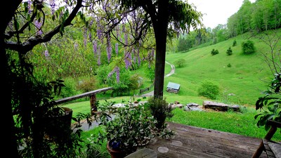 Entire house on a remote sheep farm that is safe and clean.  Tended for 45 years