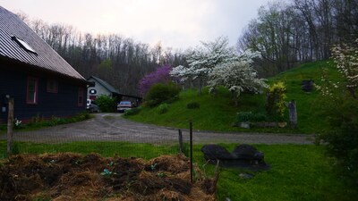 Entire house on a remote sheep farm that is safe and clean.  Tended for 45 years