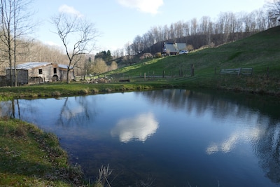 Entire house on a remote sheep farm that is safe and clean.  Tended for 45 years