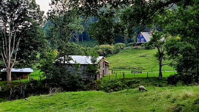 Entire house on a remote sheep farm that is safe and clean.  Tended for 45 years