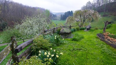 Entire house on a remote sheep farm that is safe and clean.  Tended for 45 years