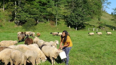 Entire house on a remote sheep farm that is safe and clean.  Tended for 45 years