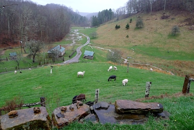 Entire house on a remote sheep farm that is safe and clean.  Tended for 45 years