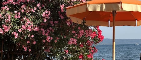 Beach at Bolsena Lake