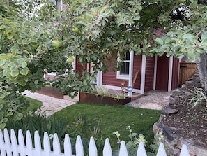 View of the front porch through Aspen trees