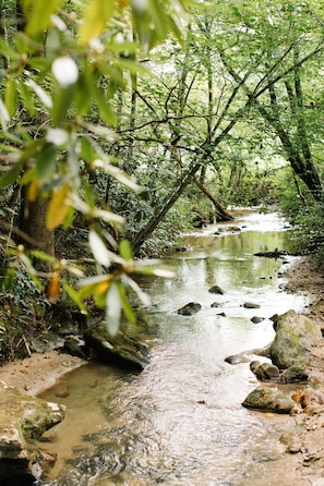 Visit a nearby stream.