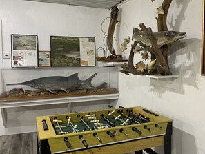 Ah!!!!!  The Paddlefish!    Foosball - more puzzles, books and board games 