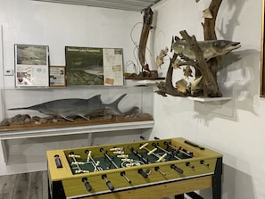 Ah!!!!!  The Paddlefish!    Foosball - more puzzles, books and board games 