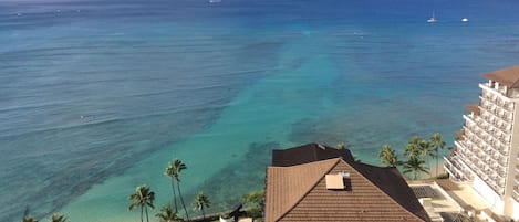 Vue sur la plage ou l’océan