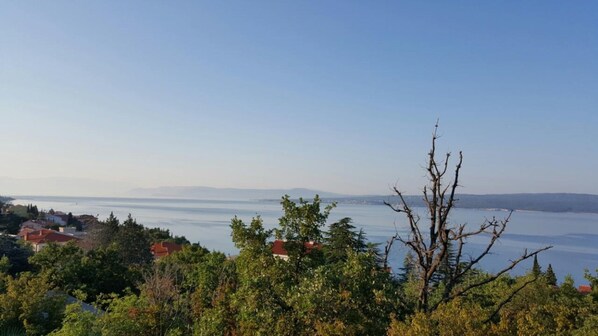Beach/ocean view