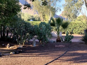 One view of garden area near master bedroom.