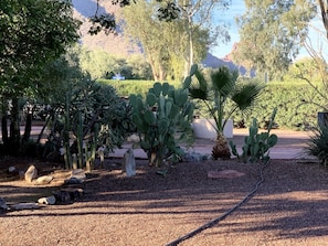 One view of garden area near master bedroom.