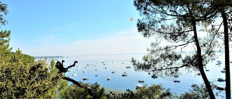 Bonjour, voici le lac de Carcans-Maubuisson