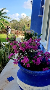 Amazing Boutique Casita in Valladolid Yucatan 